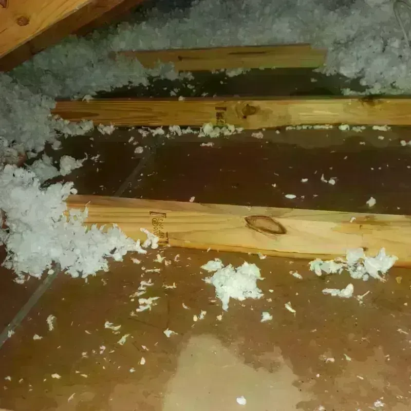 Attic Water Damage in Washtenaw County, MI