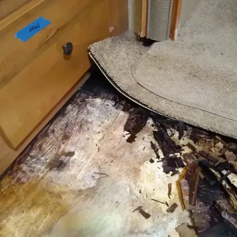 Wood Floor Water Damage in Washtenaw County, MI